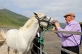 ​Подвесной мост, верблюды, конюшня: новый туркомплекс строится в Дагестане в рамках развития агротур 2